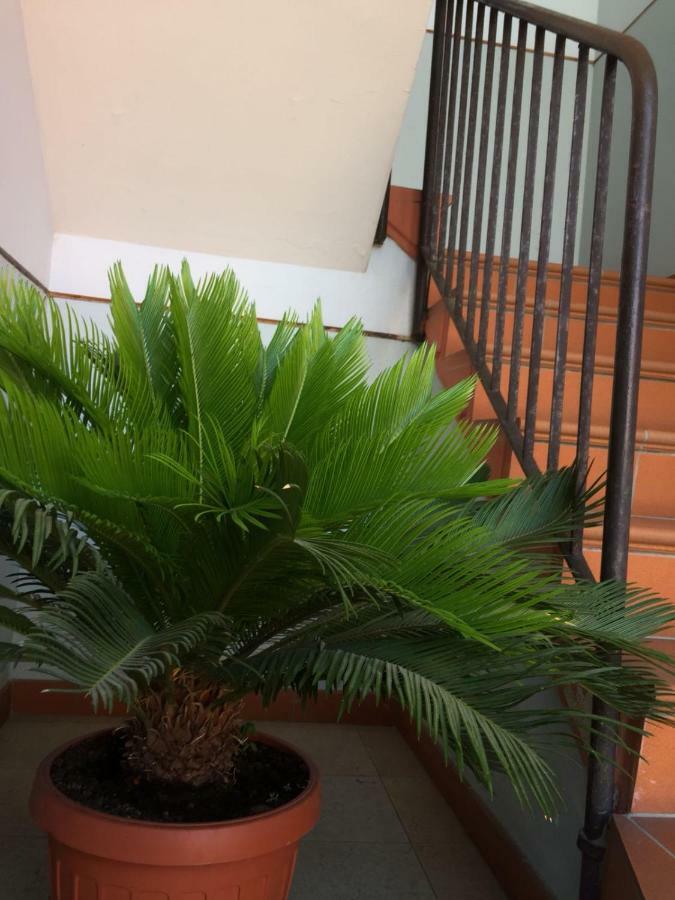 Casa Giuliano Apartment Pincara ภายนอก รูปภาพ